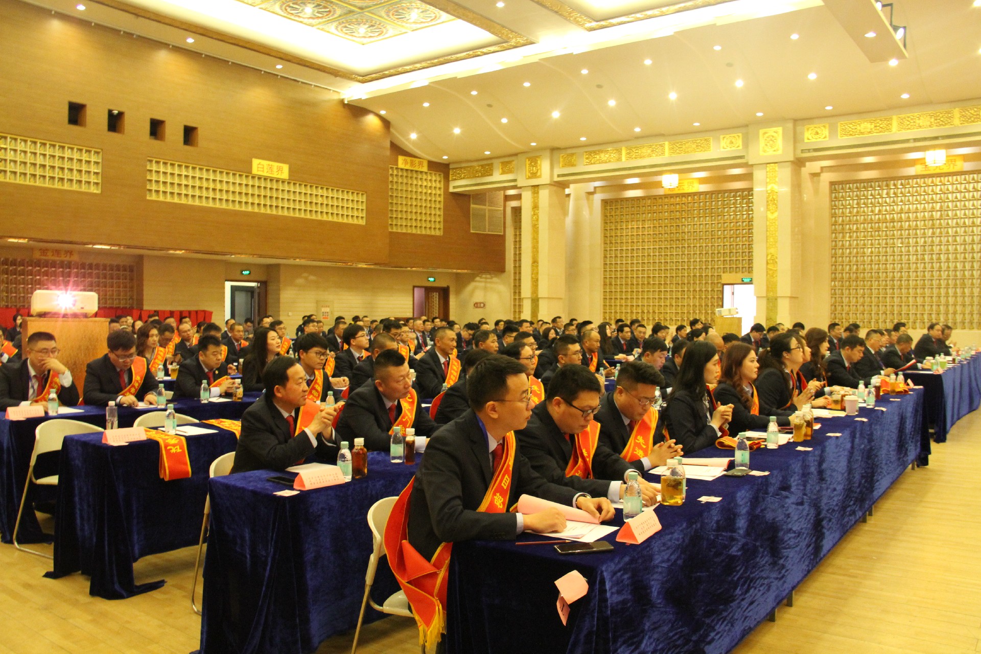 1740982132947735.jpg 1740982132947735.jpg